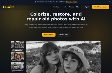 imagecolorizer 图像着色器