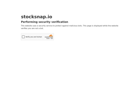 StockSnap