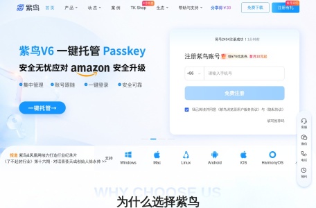 紫鸟超级浏览器